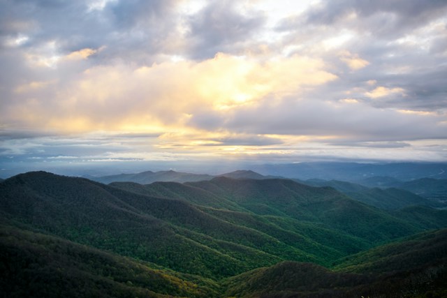  All About Lake Greenwood in South Carolina