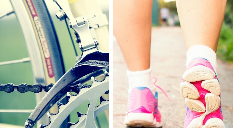 8 Places within Walking and Biking Distance of Regency Apartments